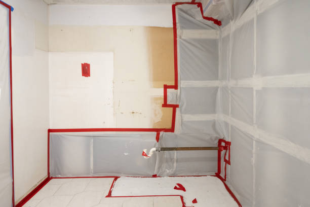 Best Residential Mold Inspection & Testing  in Winlock, WA